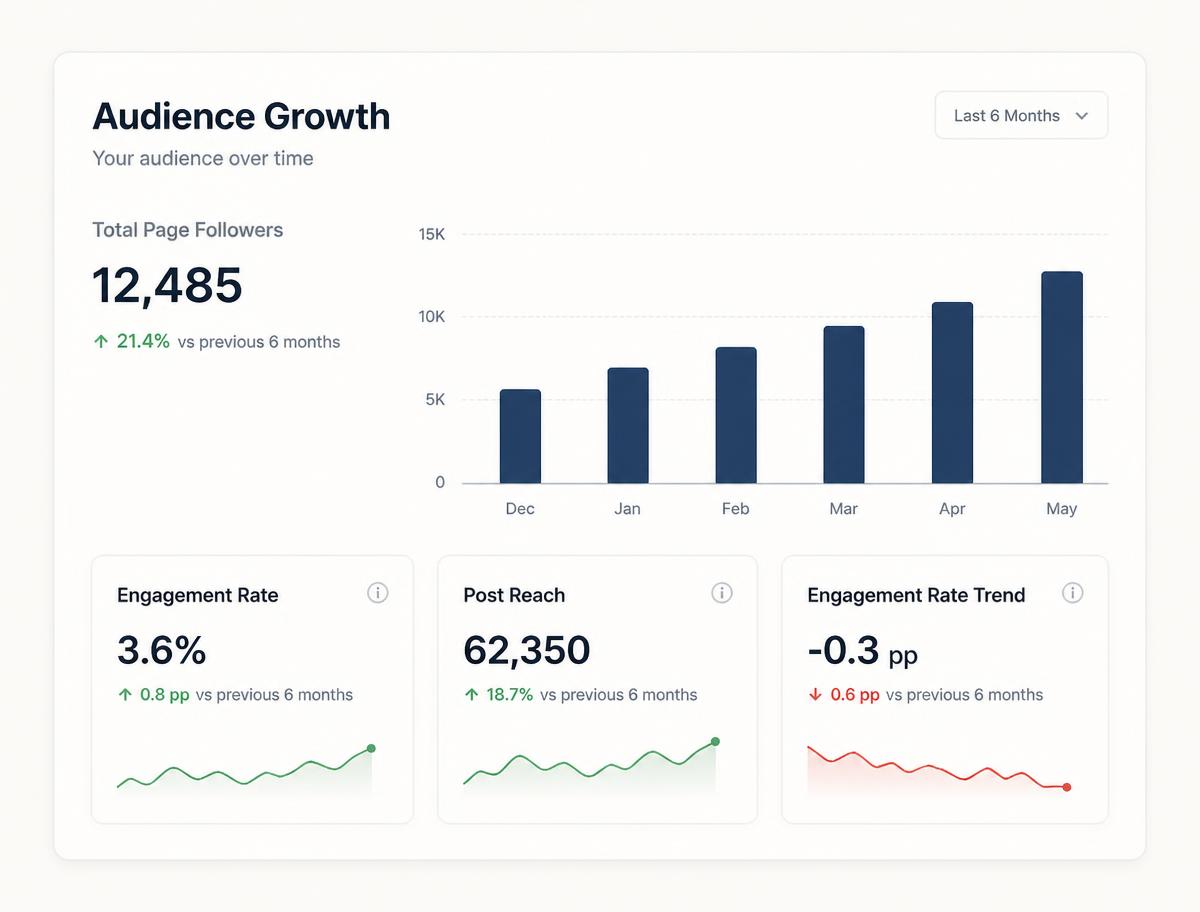 Company page audience growth chart across six months